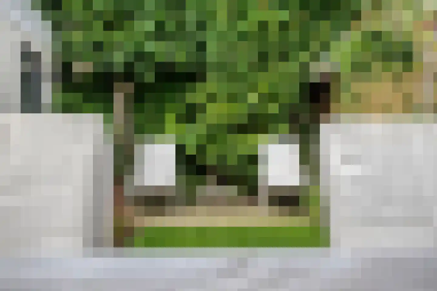 Berkenlaan 25 Barneveld thumbnail 36