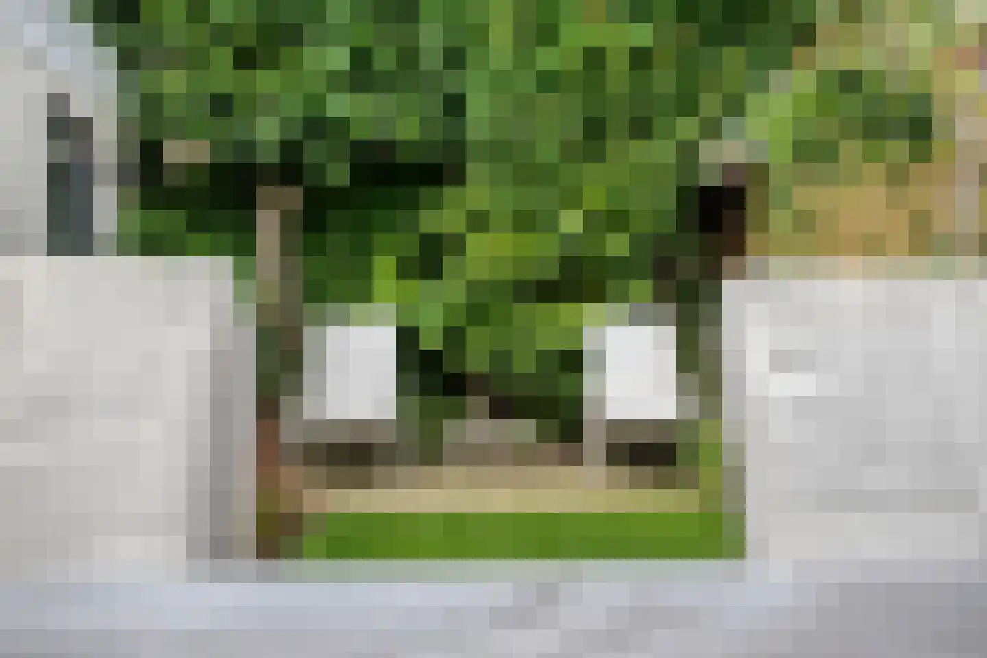Berkenlaan 25 Barneveld thumbnail 36