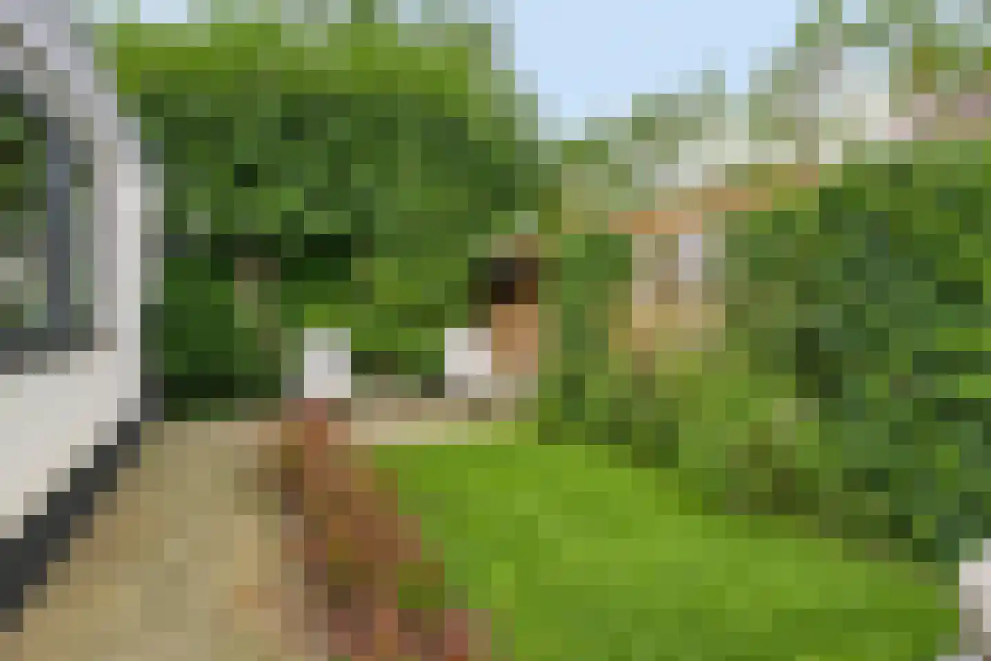 Berkenlaan 25 Barneveld thumbnail 38