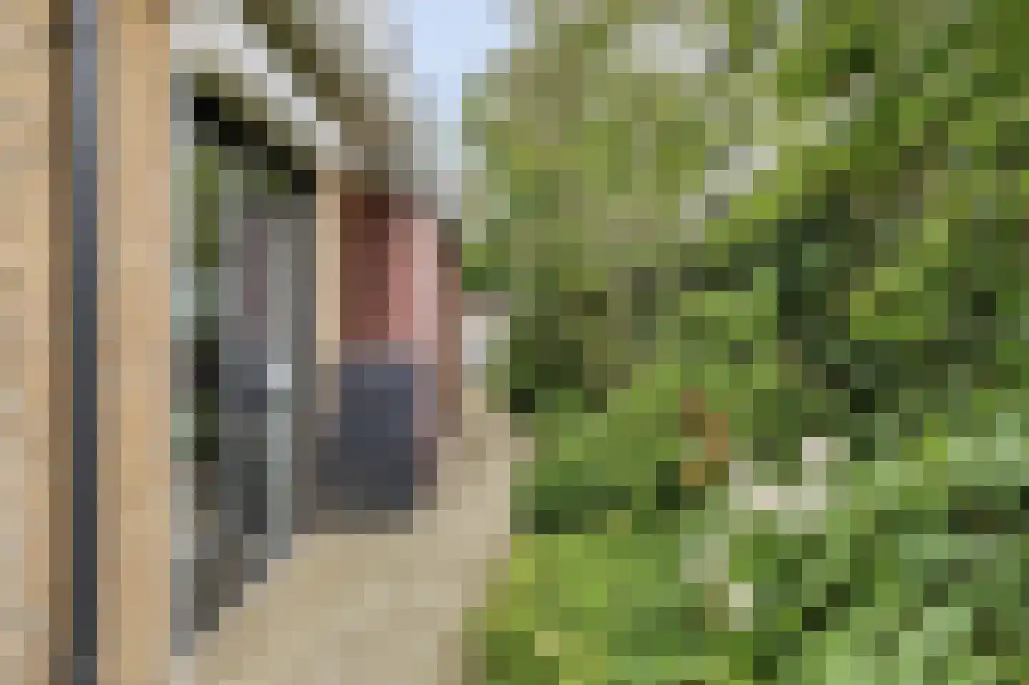Berkenlaan 25 Barneveld thumbnail 39