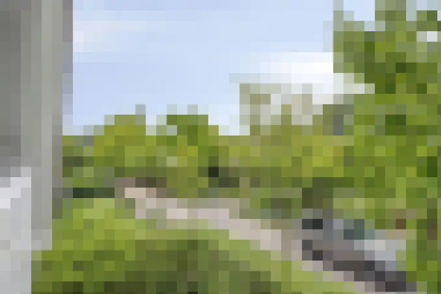 Berkenlaan 25 Barneveld thumbnail 4