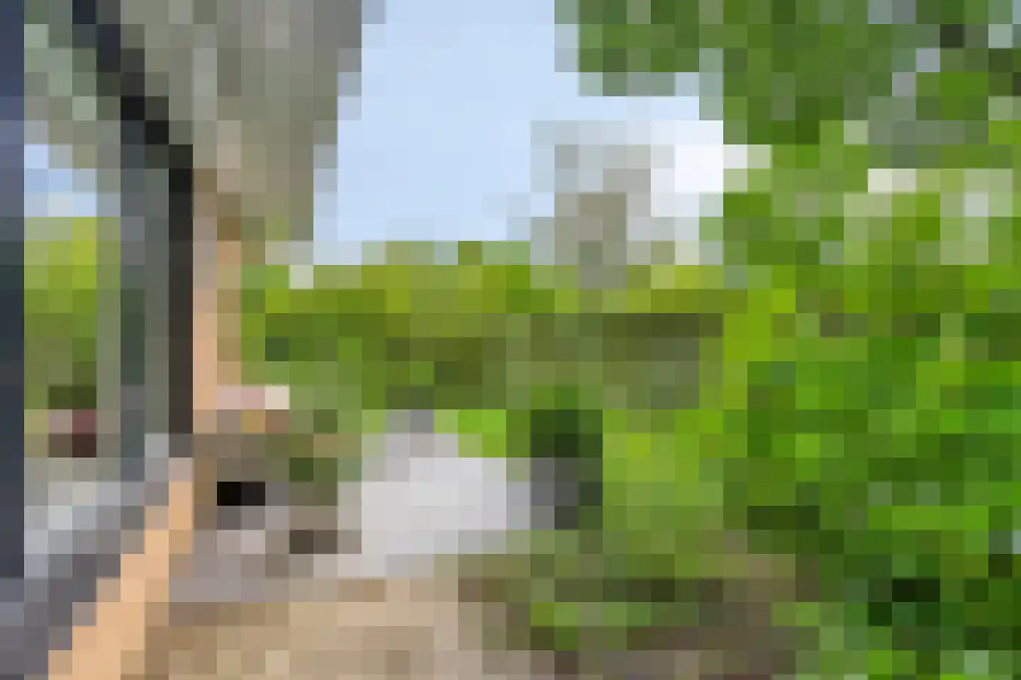 Berkenlaan 25 Barneveld thumbnail 40