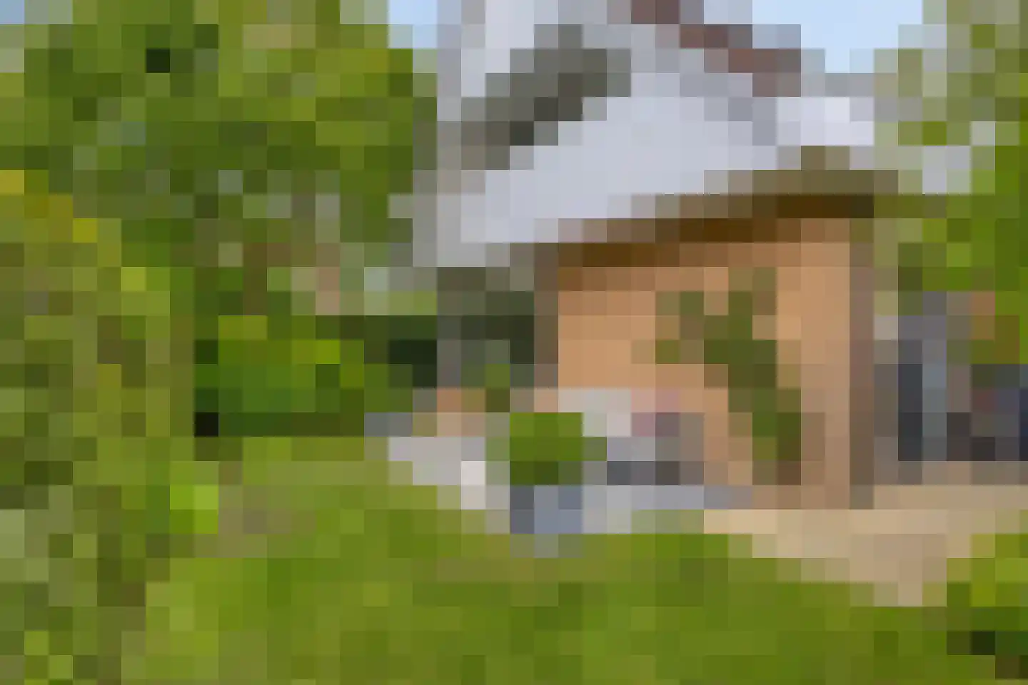 Berkenlaan 25 Barneveld thumbnail 41