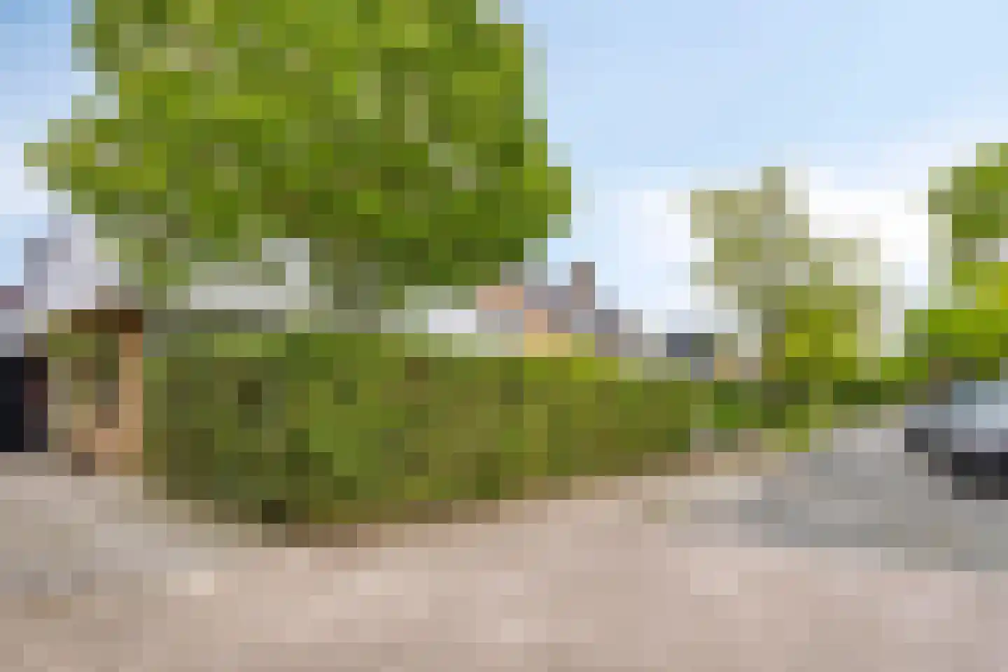 Berkenlaan 25 Barneveld thumbnail 42