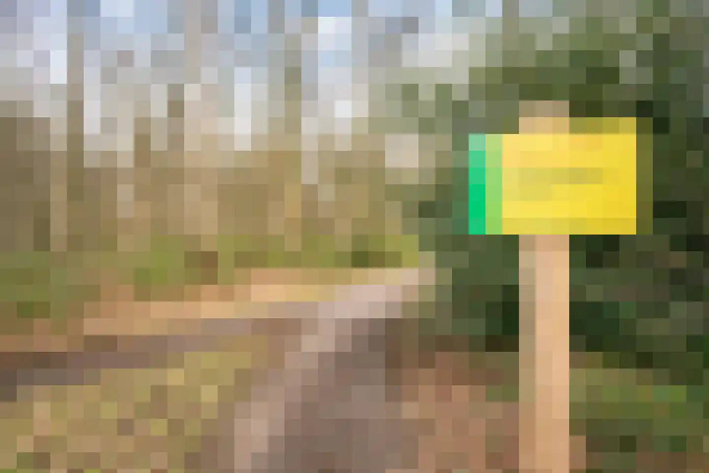 Berkenlaan 25 Barneveld thumbnail 43