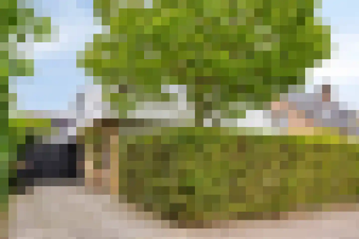 Berkenlaan 25 Barneveld thumbnail 6