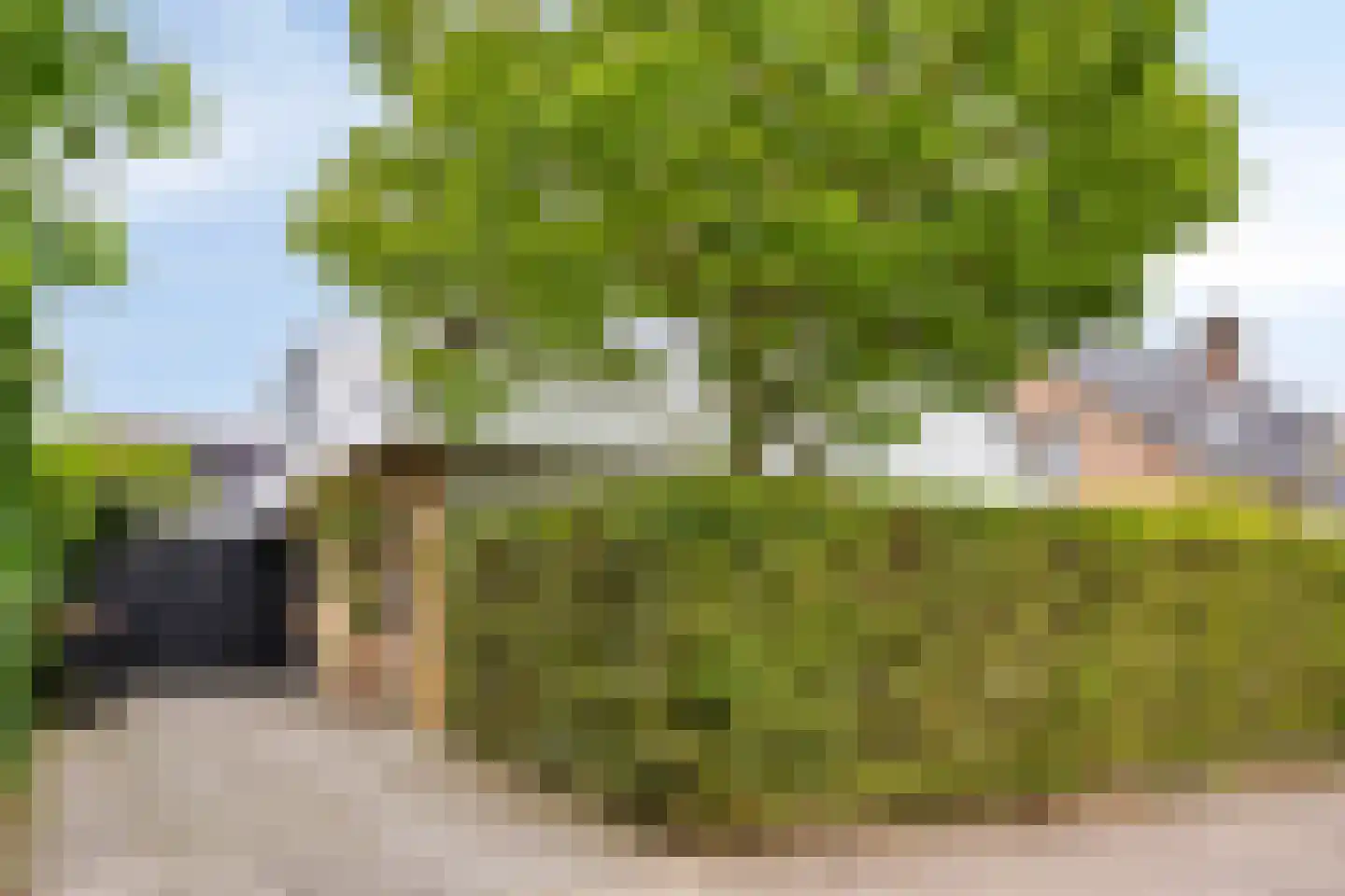 Berkenlaan 25 Barneveld thumbnail 6