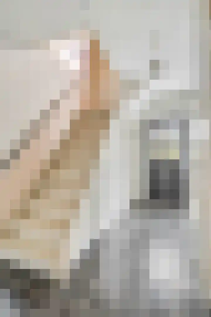 Berkenlaan 25 Ede thumbnail 11