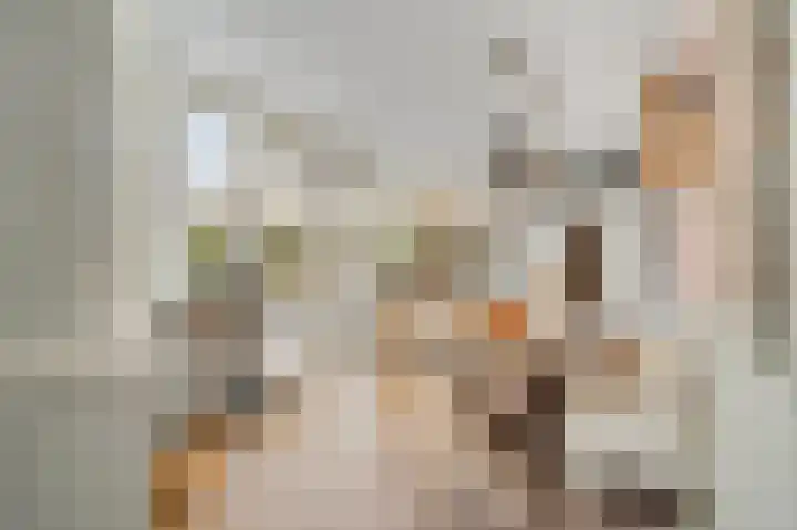 Berkenlaan 25 Ede thumbnail 12
