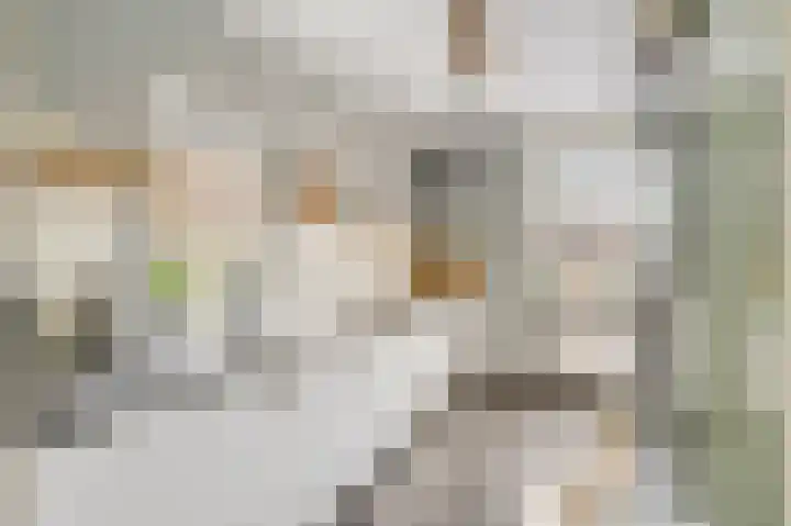 Berkenlaan 25 Ede thumbnail 13
