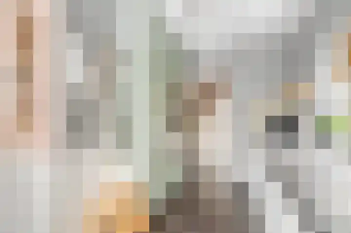 Berkenlaan 25 Ede thumbnail 15