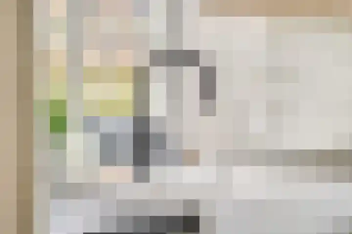 Berkenlaan 25 Ede thumbnail 17