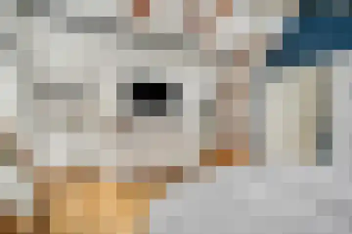 Berkenlaan 25 Ede thumbnail 28