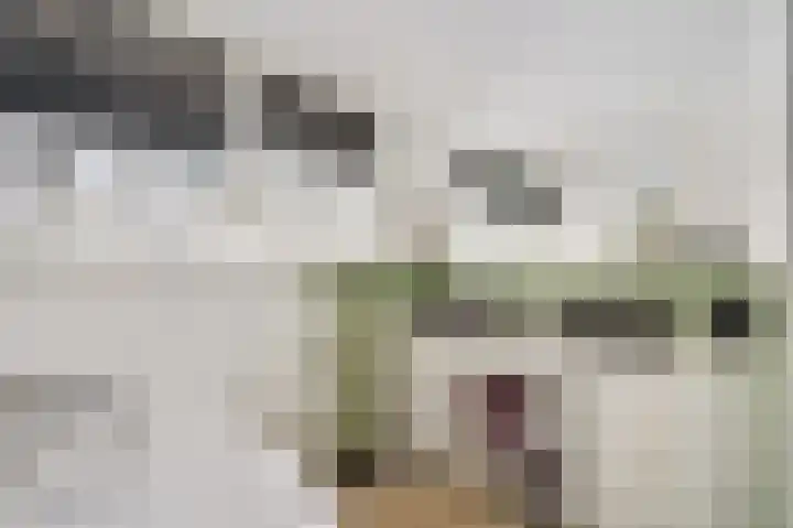Berkenlaan 25 Ede thumbnail 32