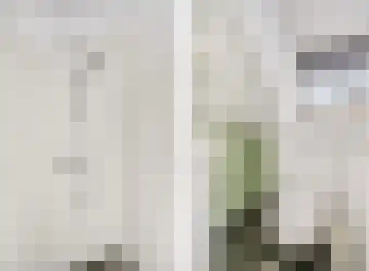 Berkenlaan 25 Ede thumbnail 34