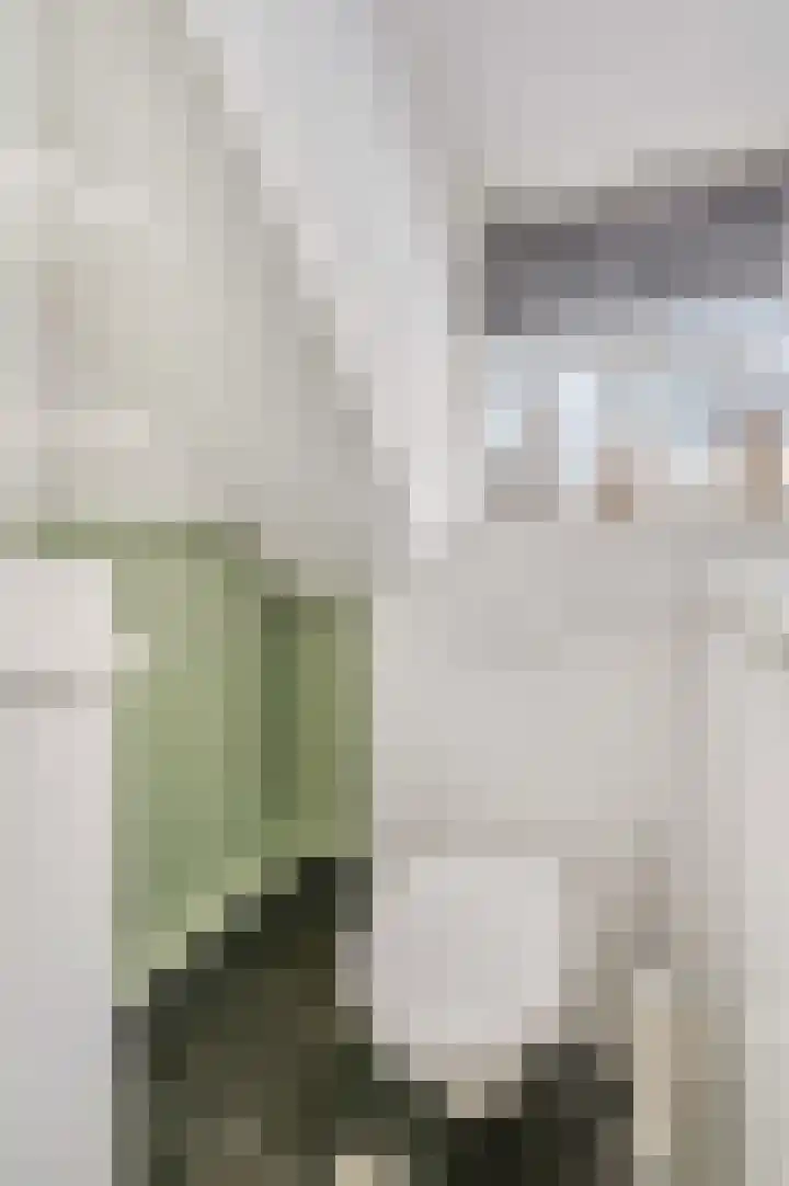 Berkenlaan 25 Ede thumbnail 35