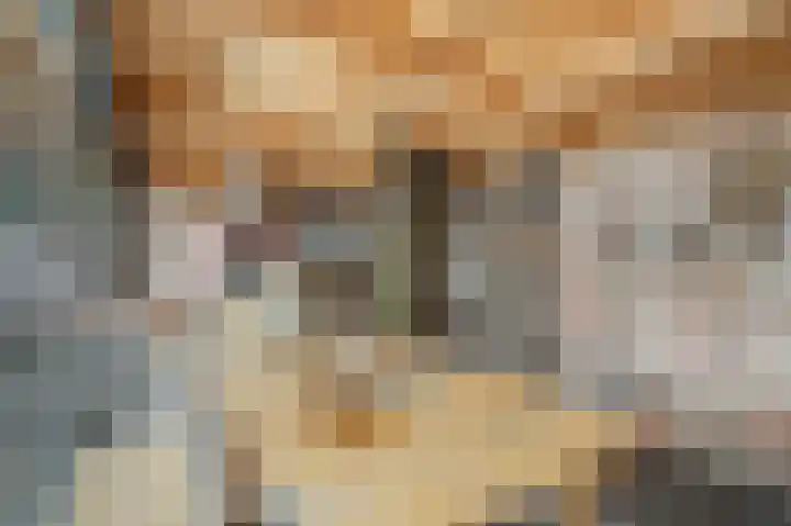 Berkenlaan 25 Ede thumbnail 36