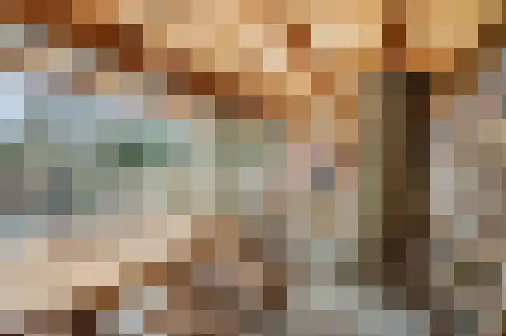 Berkenlaan 25 Ede thumbnail 37