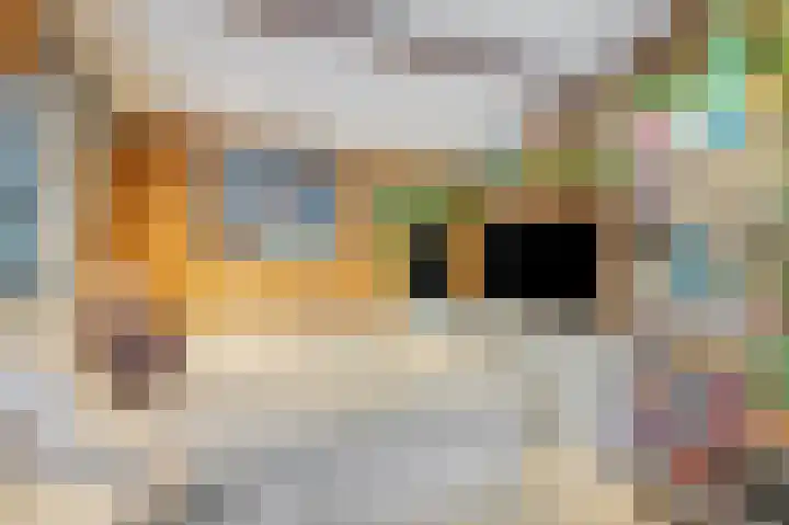 Berkenlaan 25 Ede thumbnail 39