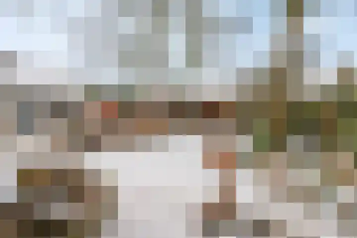 Berkenlaan 25 Ede thumbnail 43