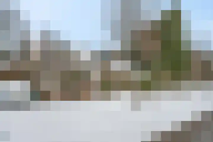Berkenlaan 25 Ede thumbnail 45