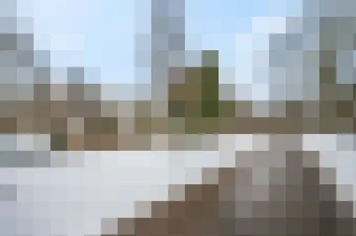 Berkenlaan 25 Ede thumbnail 46