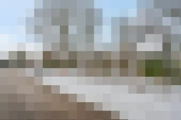 Berkenlaan 25 Ede thumbnail 47
