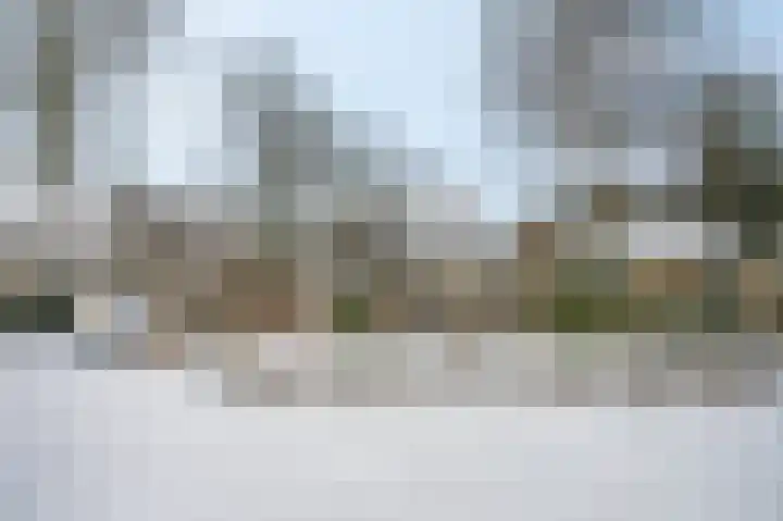 Berkenlaan 25 Ede thumbnail 48
