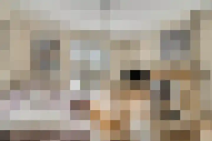 Berkenlaan 25 Ede thumbnail 5