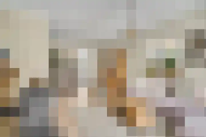 Berkenlaan 25 Ede thumbnail 6