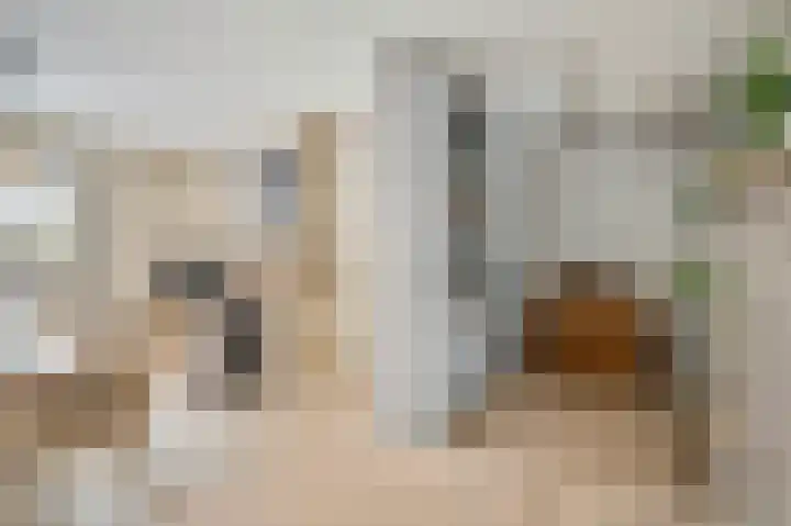 Berkenlaan 25 Ede thumbnail 8