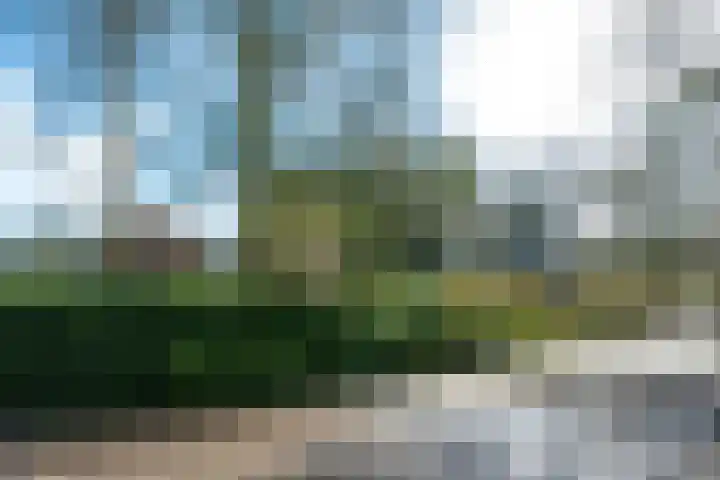 Berkenlaan 25 Maarn thumbnail 29