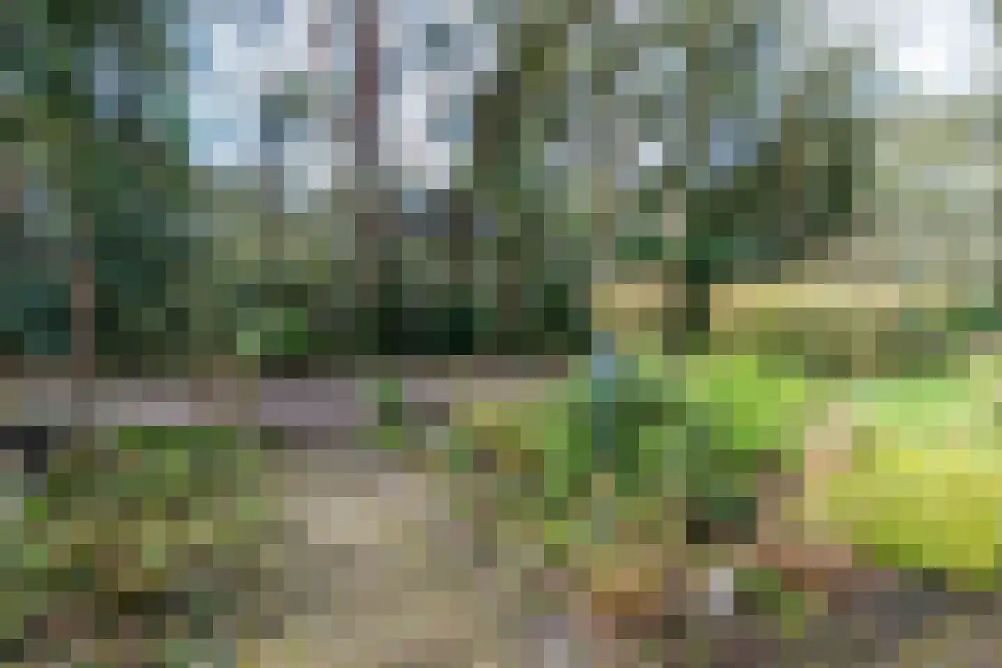 Berkenlaan 25 Maarn thumbnail 30