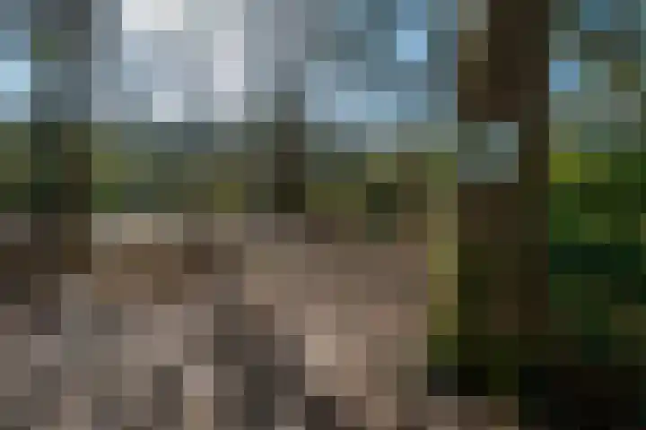 Berkenlaan 25 Maarn thumbnail 32