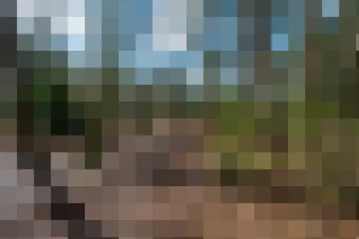Berkenlaan 25 Maarn thumbnail 33