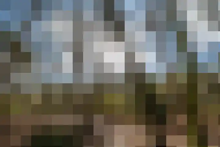 Berkenlaan 25 Maarn thumbnail 34