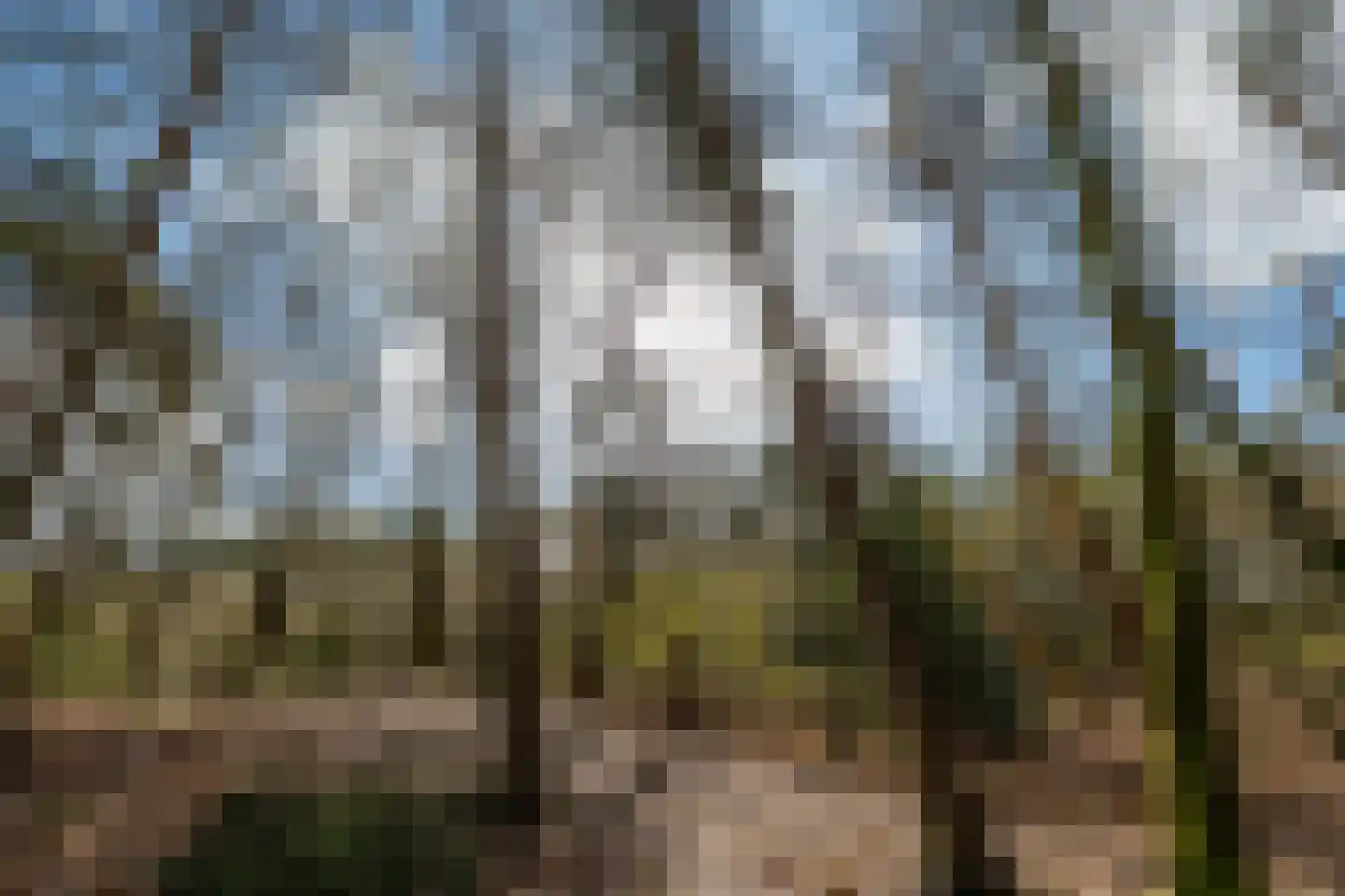 Berkenlaan 25 Maarn thumbnail 34