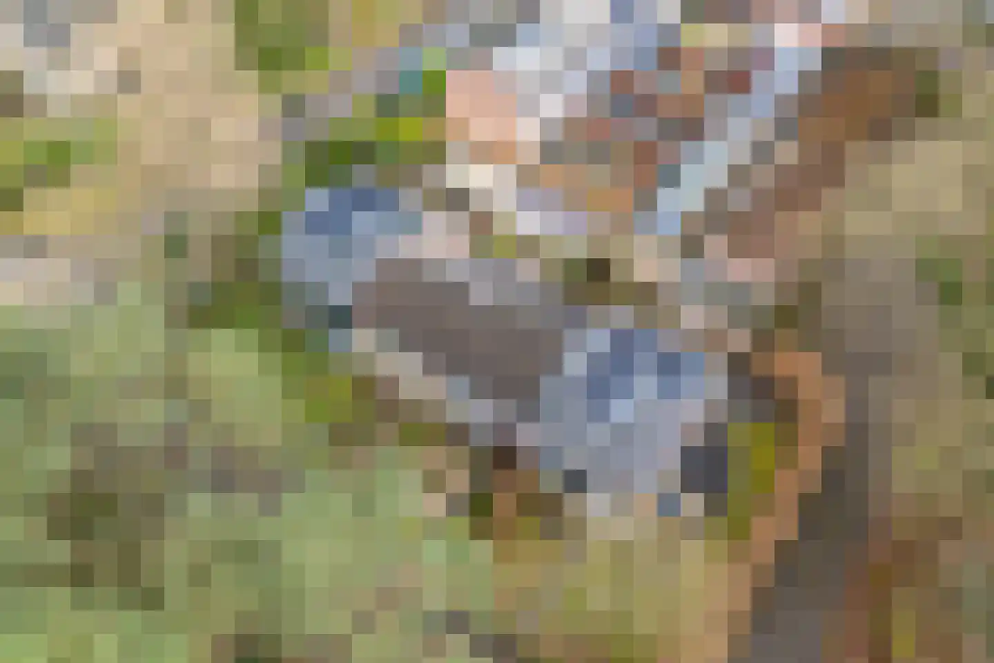 Berkenlaan 25 Maarn thumbnail 35