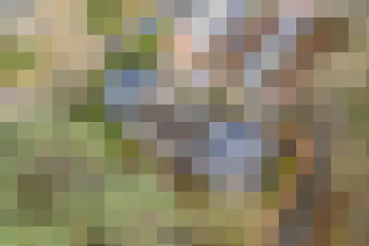 Berkenlaan 25 Maarn thumbnail 35