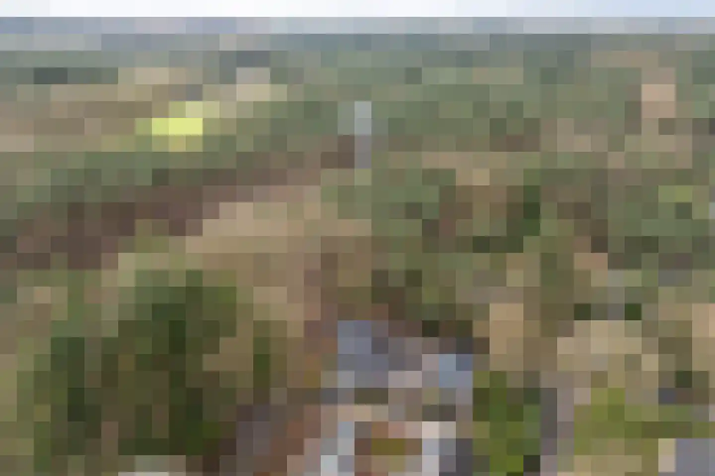 Berkenlaan 25 Maarn thumbnail 36