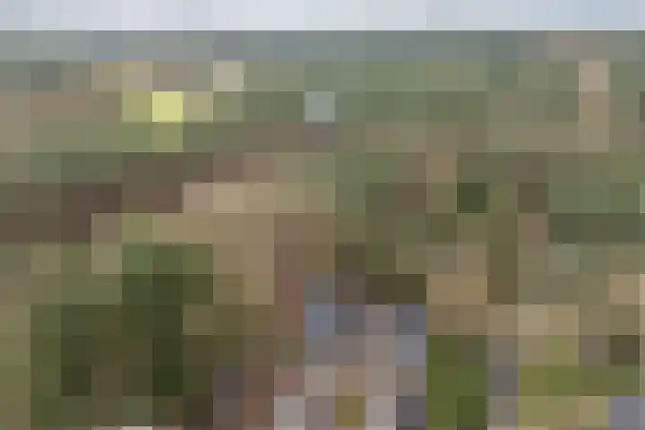 Berkenlaan 25 Maarn thumbnail 36
