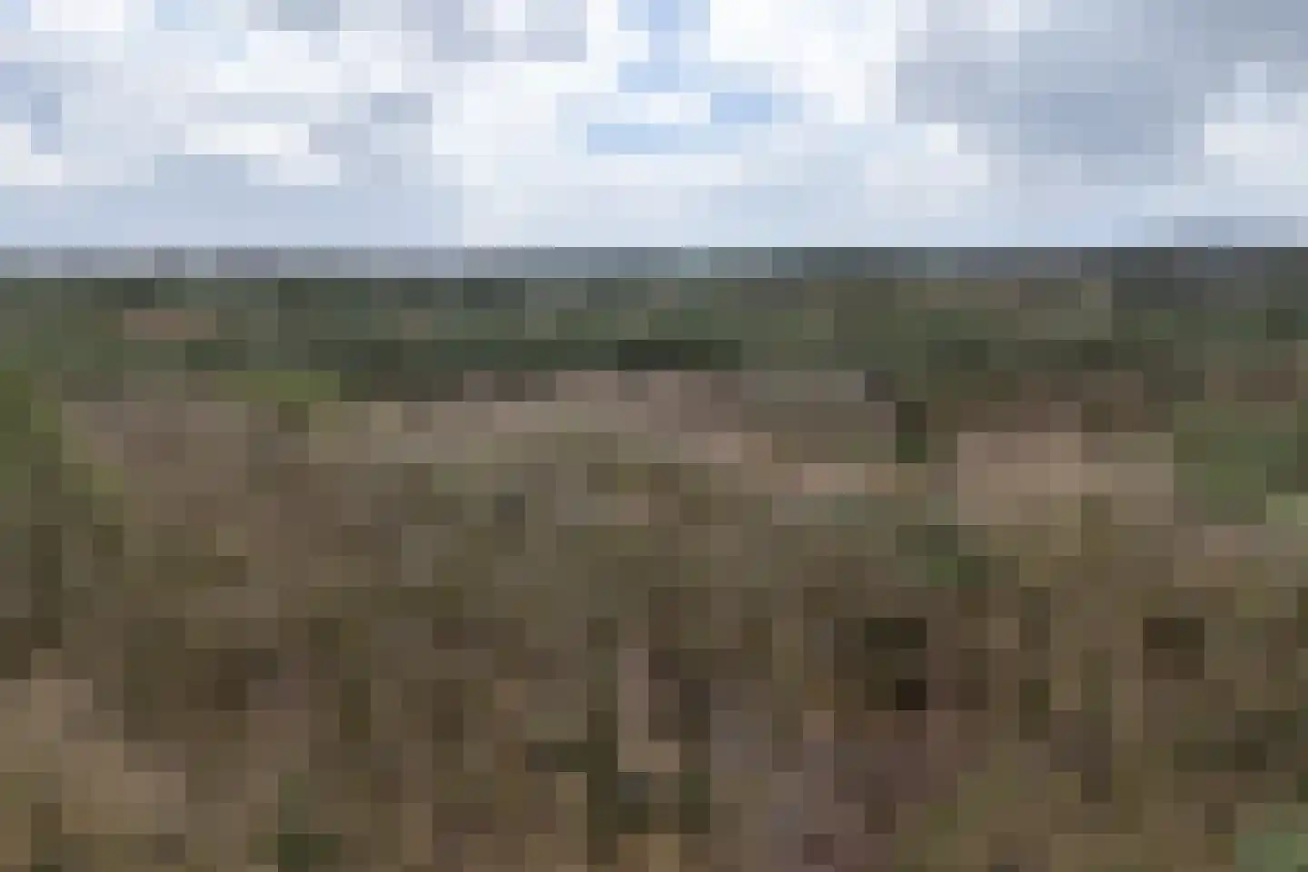 Berkenlaan 25 Maarn thumbnail 37