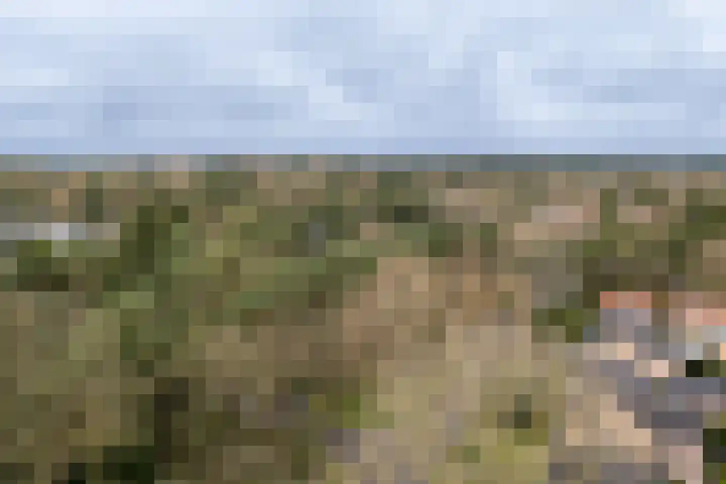 Berkenlaan 25 Maarn thumbnail 38