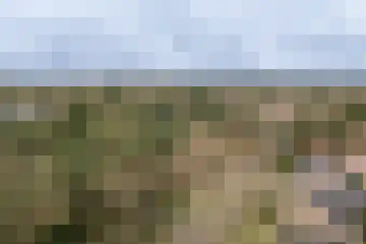 Berkenlaan 25 Maarn thumbnail 38