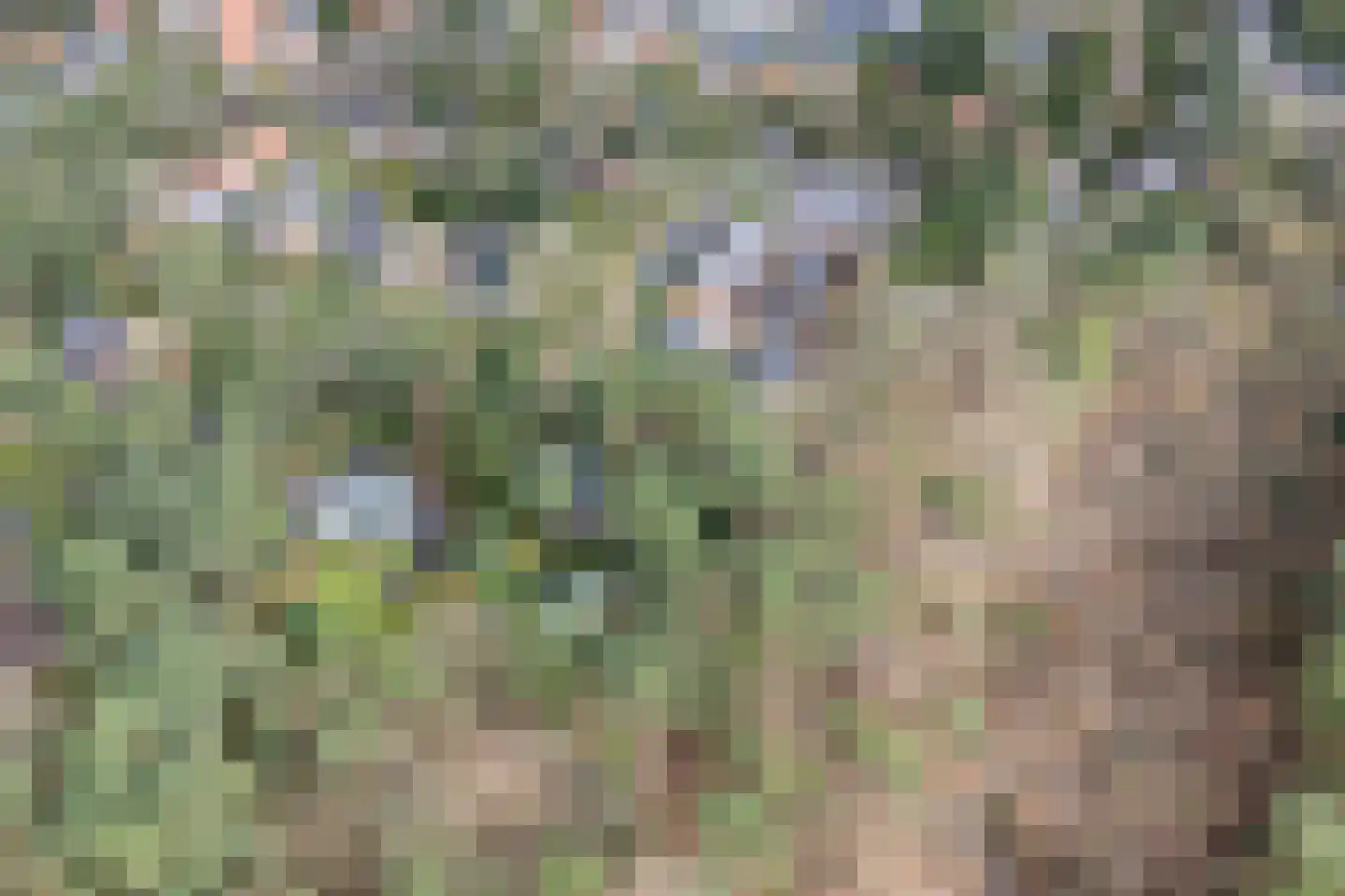 Berkenlaan 25 Maarn thumbnail 39