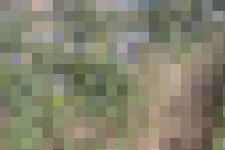 Berkenlaan 25 Maarn thumbnail 39