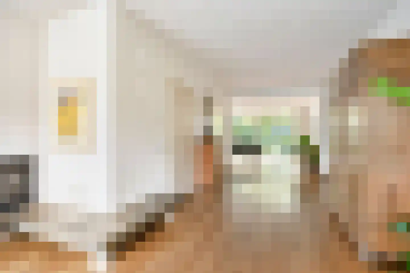 Berkenlaan 25 Peize thumbnail 11