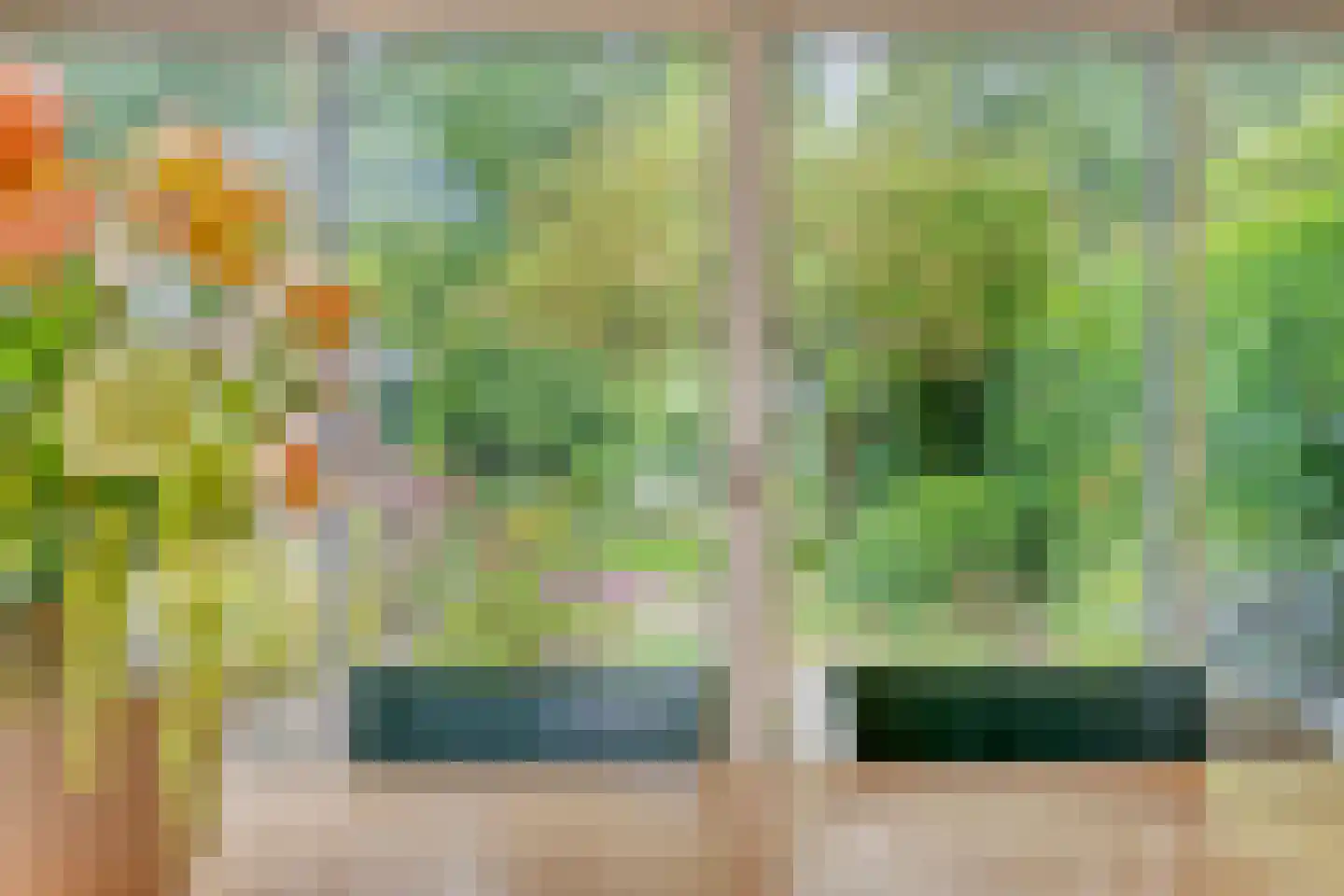 Berkenlaan 25 Peize thumbnail 15
