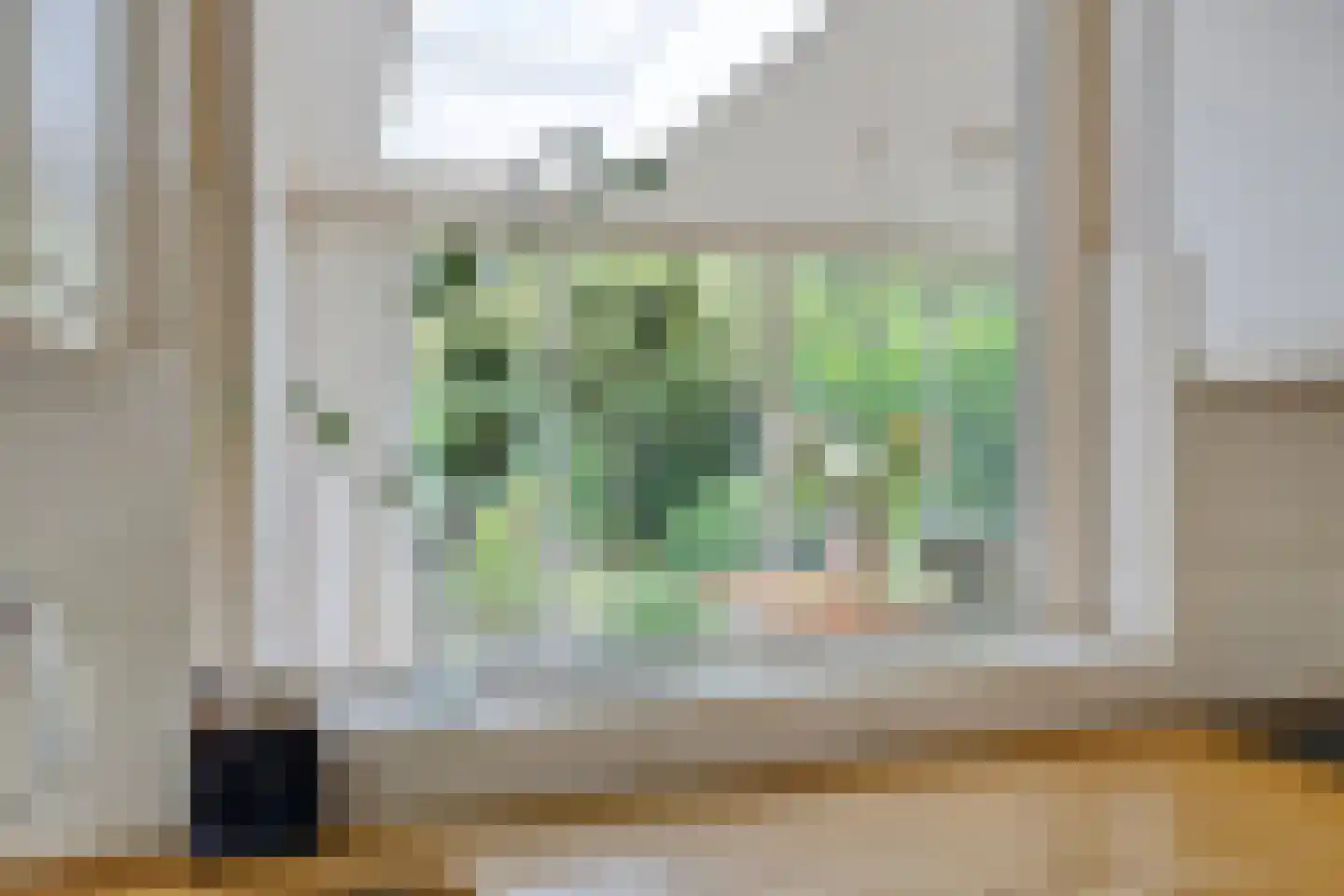 Berkenlaan 25 Peize thumbnail 19