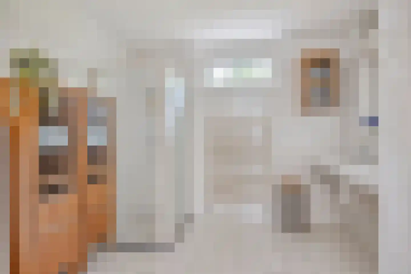 Berkenlaan 25 Peize thumbnail 29